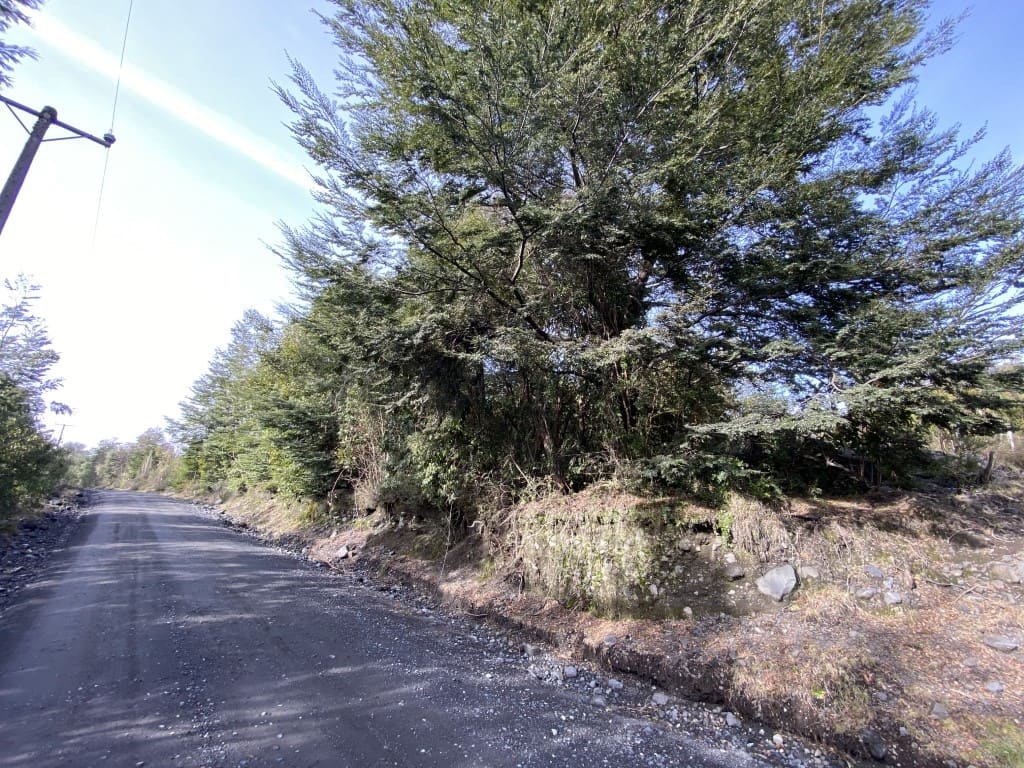 Parcela en venta en Villarrica — foto 5