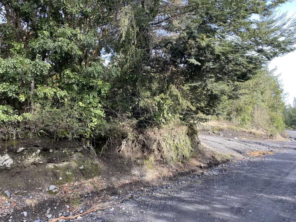Parcela en venta en Villarrica — foto 6