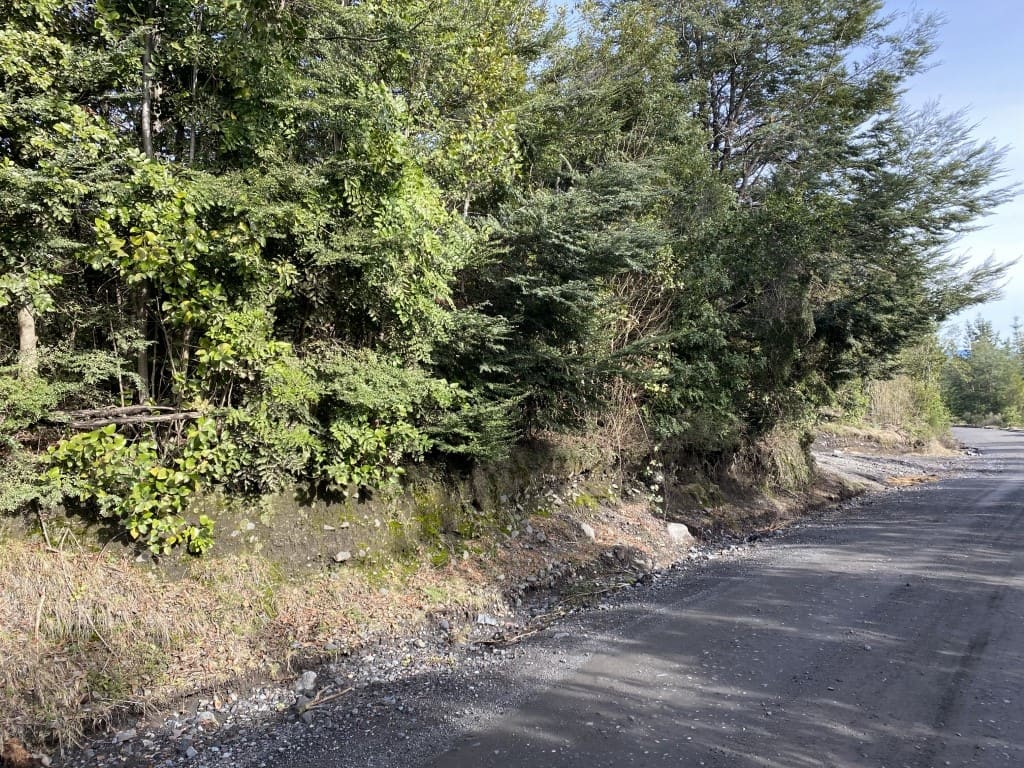 Parcela en venta en Villarrica — foto 7
