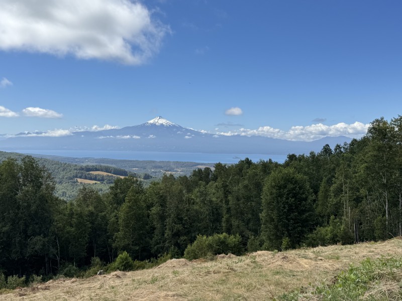 Parcela en venta en Villarrica — foto 1