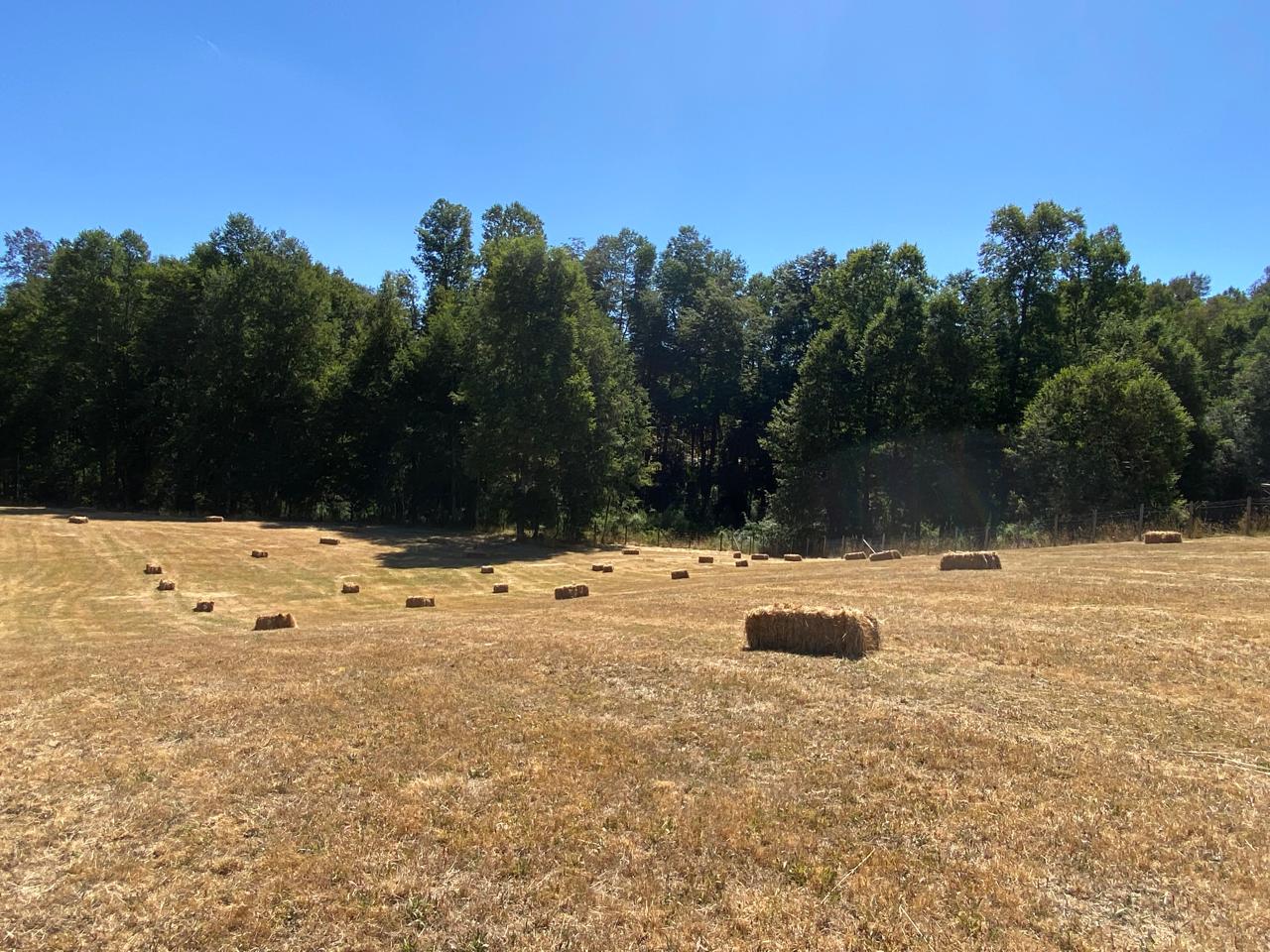 Parcela en venta en Villarrica — foto 6