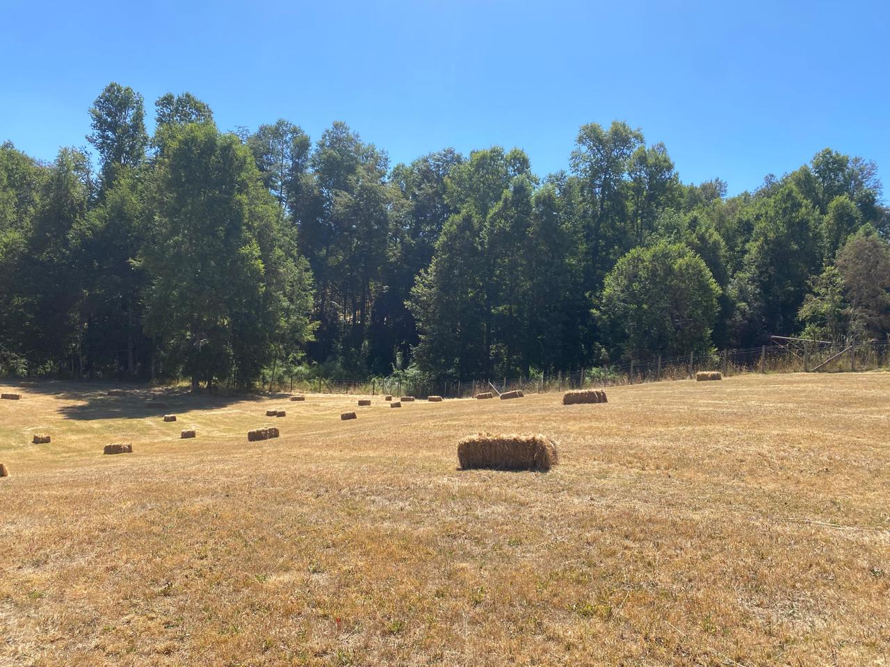 Parcela en venta en Villarrica — foto 7