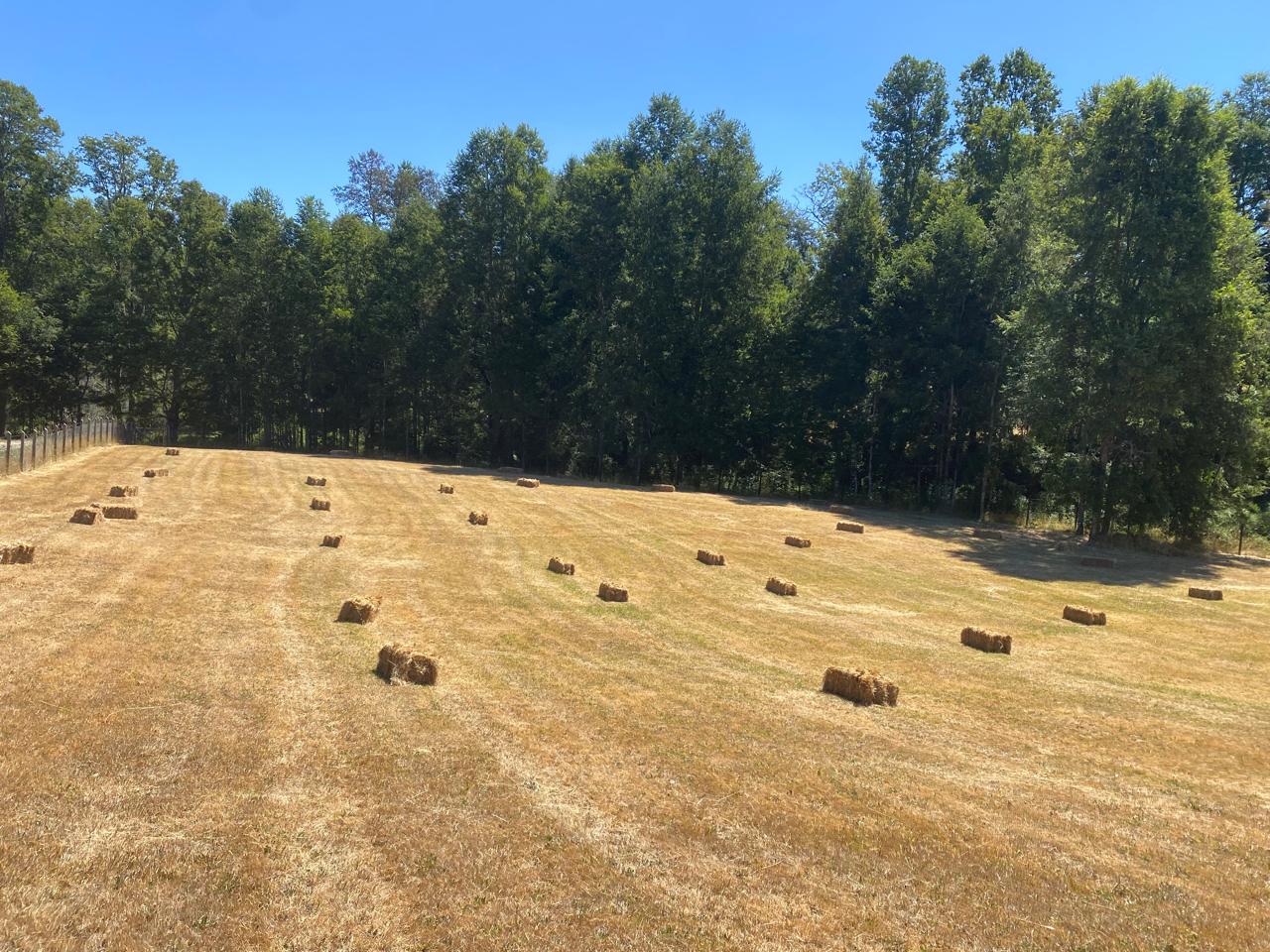 Parcela en venta en Villarrica — foto 8