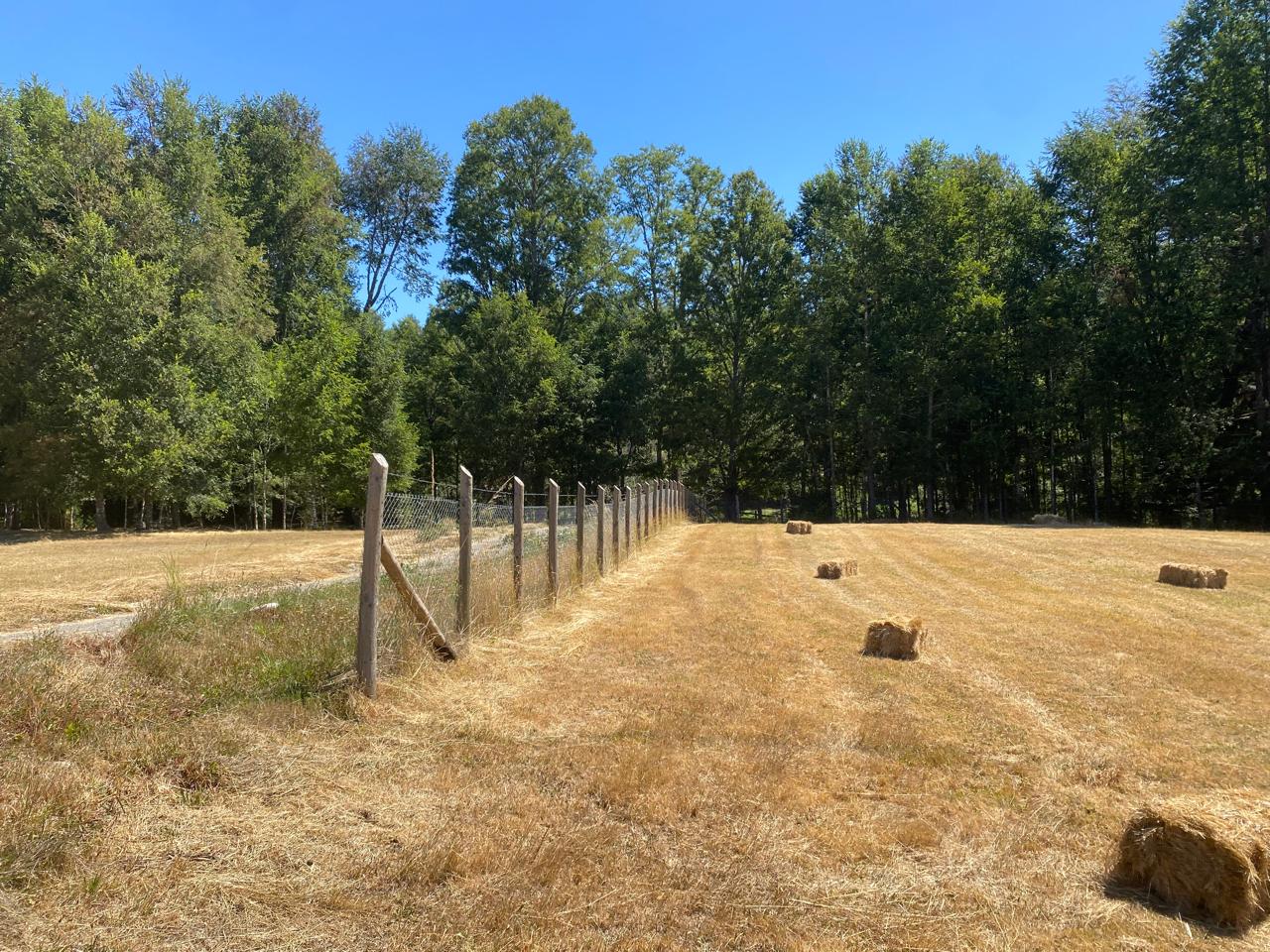 Parcela en venta en Villarrica — foto 9