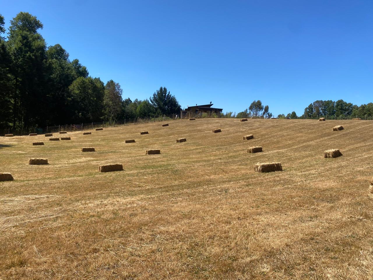 Parcela en venta en Villarrica — foto 10