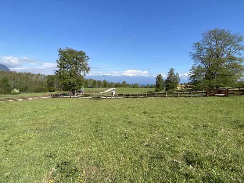 Parcela en venta en Villarrica — foto 5