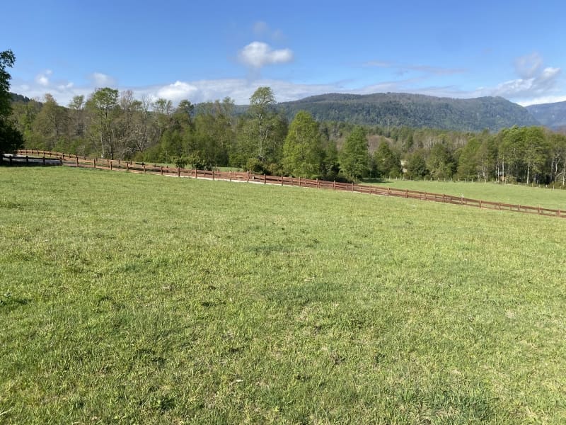 Parcela en venta en Villarrica — foto 6