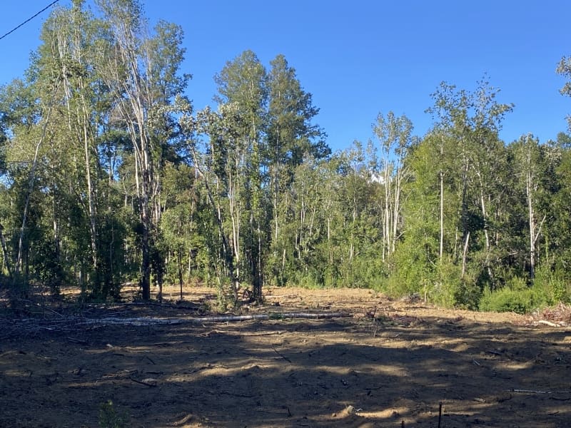 Parcela en venta en Villarrica — foto 1