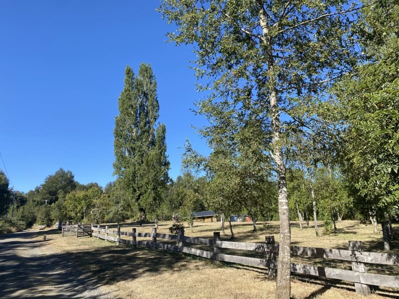 Parcela en venta en Villarrica — foto 4