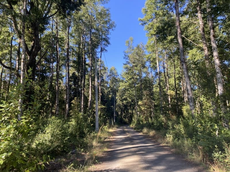 Parcela en venta en Villarrica — foto 5