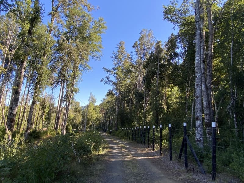 Parcela en venta en Villarrica — foto 6