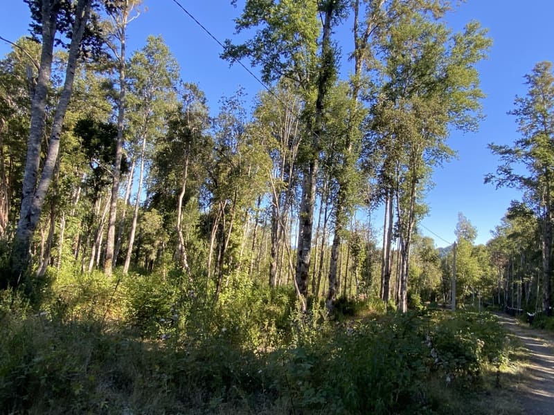 Parcela en venta en Villarrica — foto 7