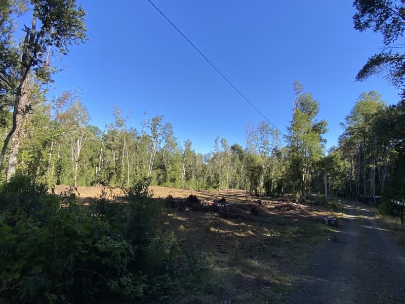 Parcela en venta en Villarrica — foto 8