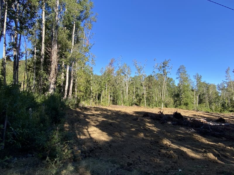 Parcela en venta en Villarrica — foto 9