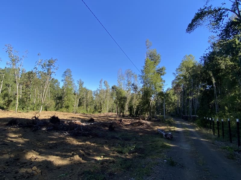 Parcela en venta en Villarrica — foto 10