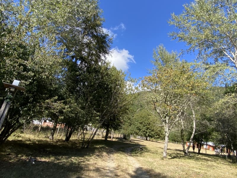 Casa en venta en Panguipulli — foto 10