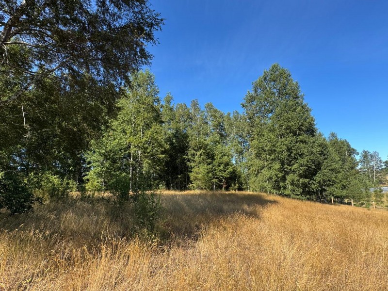 Parcela en venta en Villarrica — foto 1