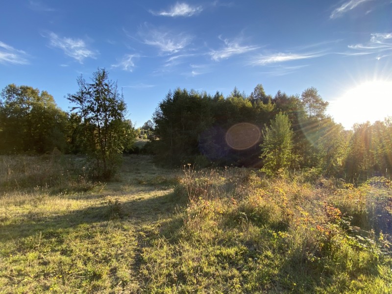 Parcela en venta en Villarrica — foto 1