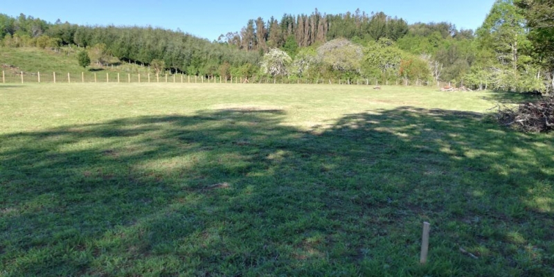 Parcela en venta en Villarrica — foto 2