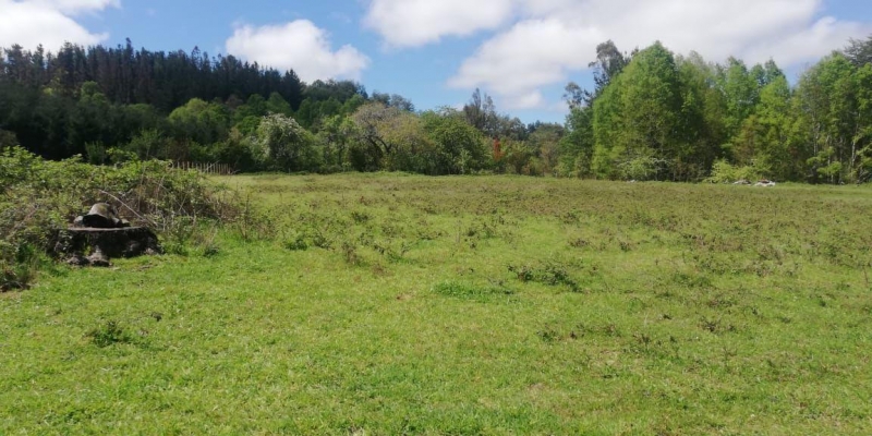 Parcela en venta en Villarrica — foto 5