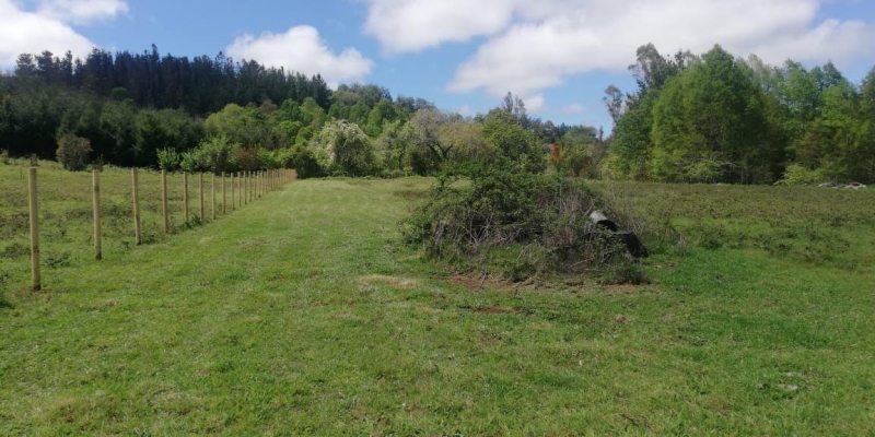 Parcela en venta en Villarrica — foto 6