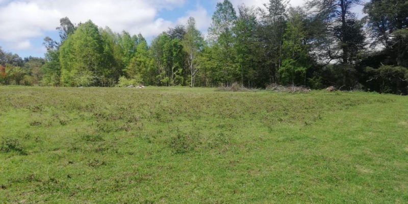 Parcela en venta en Villarrica — foto 7