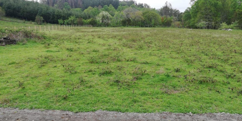 Parcela en venta en Villarrica — foto 8