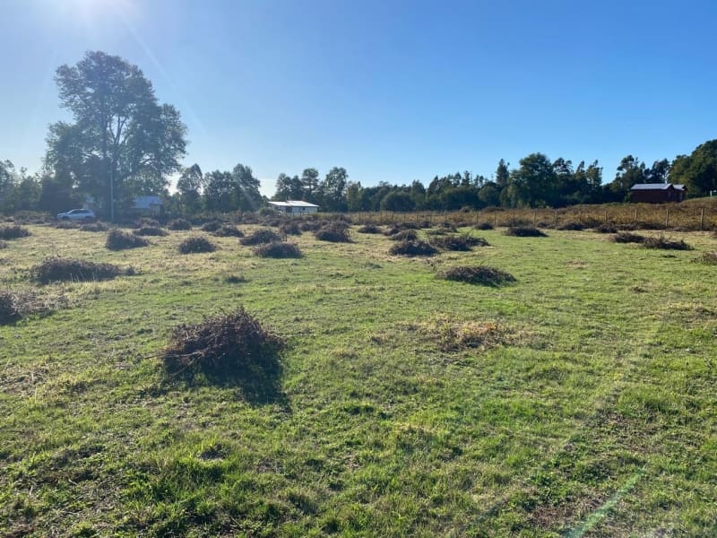 Parcela en venta en Villarrica — foto 9