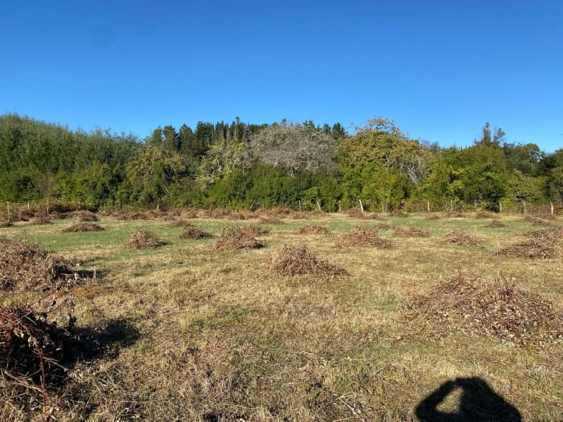 Parcela en venta en Villarrica — foto 10
