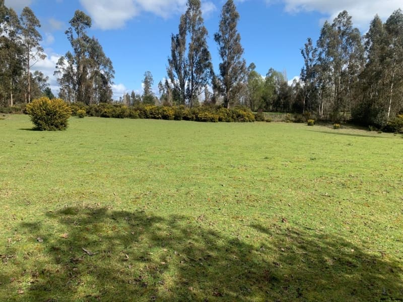 Parcela en venta en Freire — foto 1