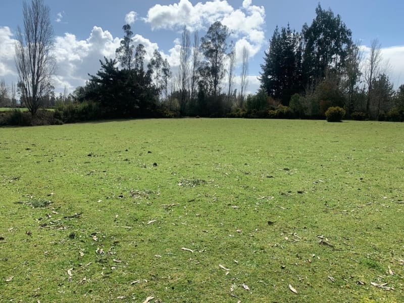 Parcela en venta en Freire — foto 2
