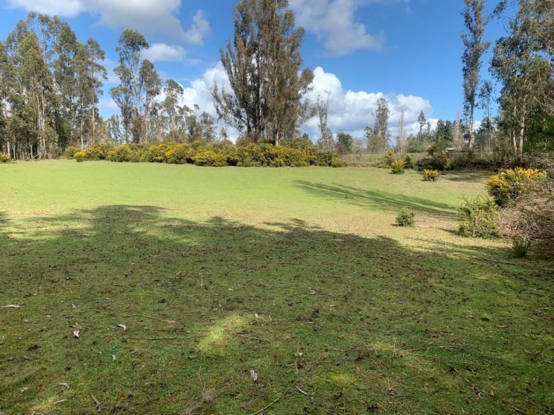 Parcela en venta en Freire — foto 3