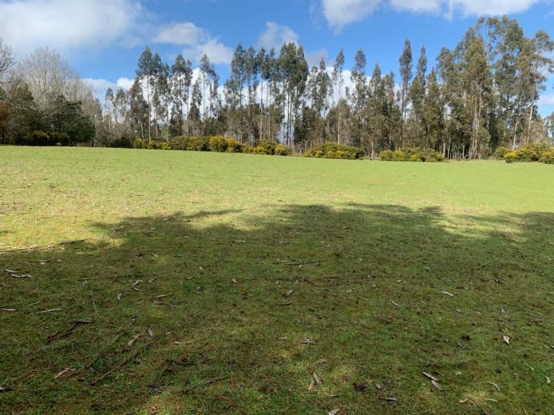 Parcela en venta en Freire — foto 5