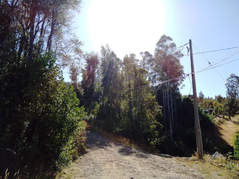 Parcela en venta en Villarrica — foto 2