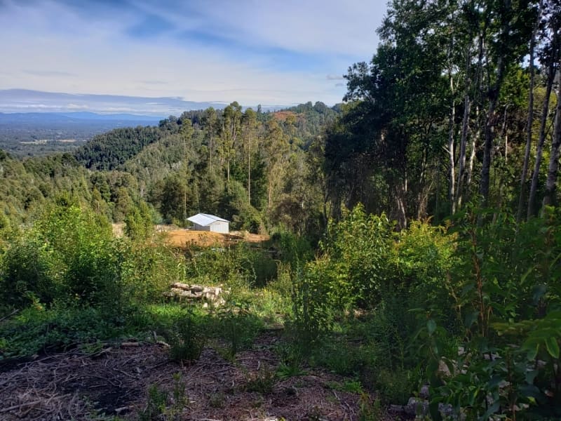 Parcela en venta en Villarrica — foto 8