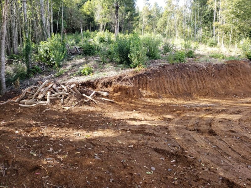Parcela en venta en Villarrica — foto 9