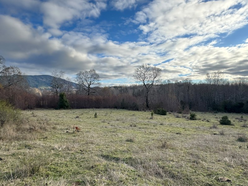 Parcela en venta en Villarrica — foto 2