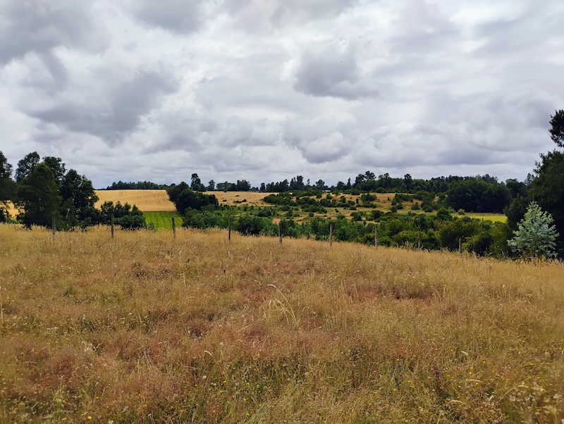Parcela en venta en Villarrica — foto 1