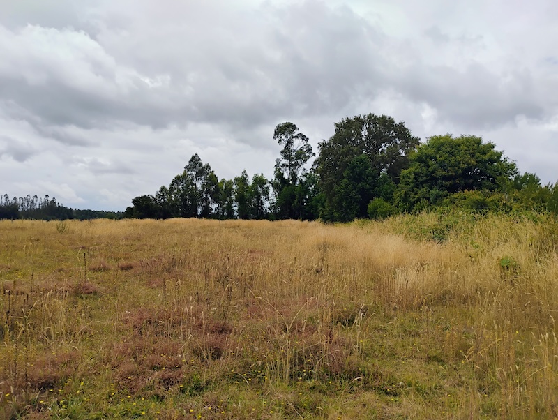 Parcela en venta en Villarrica — foto 4