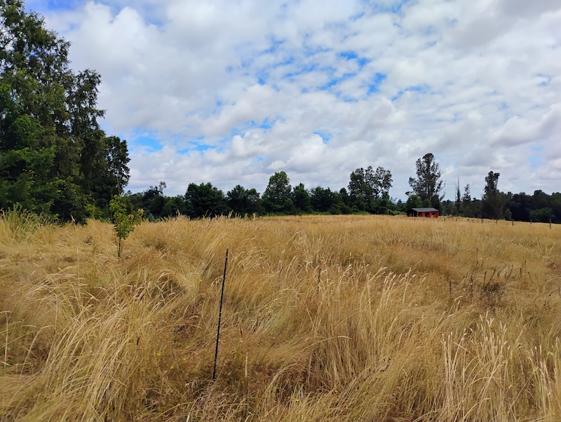 Parcela en venta en Villarrica — foto 7