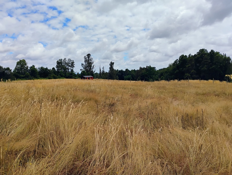Parcela en venta en Villarrica — foto 9