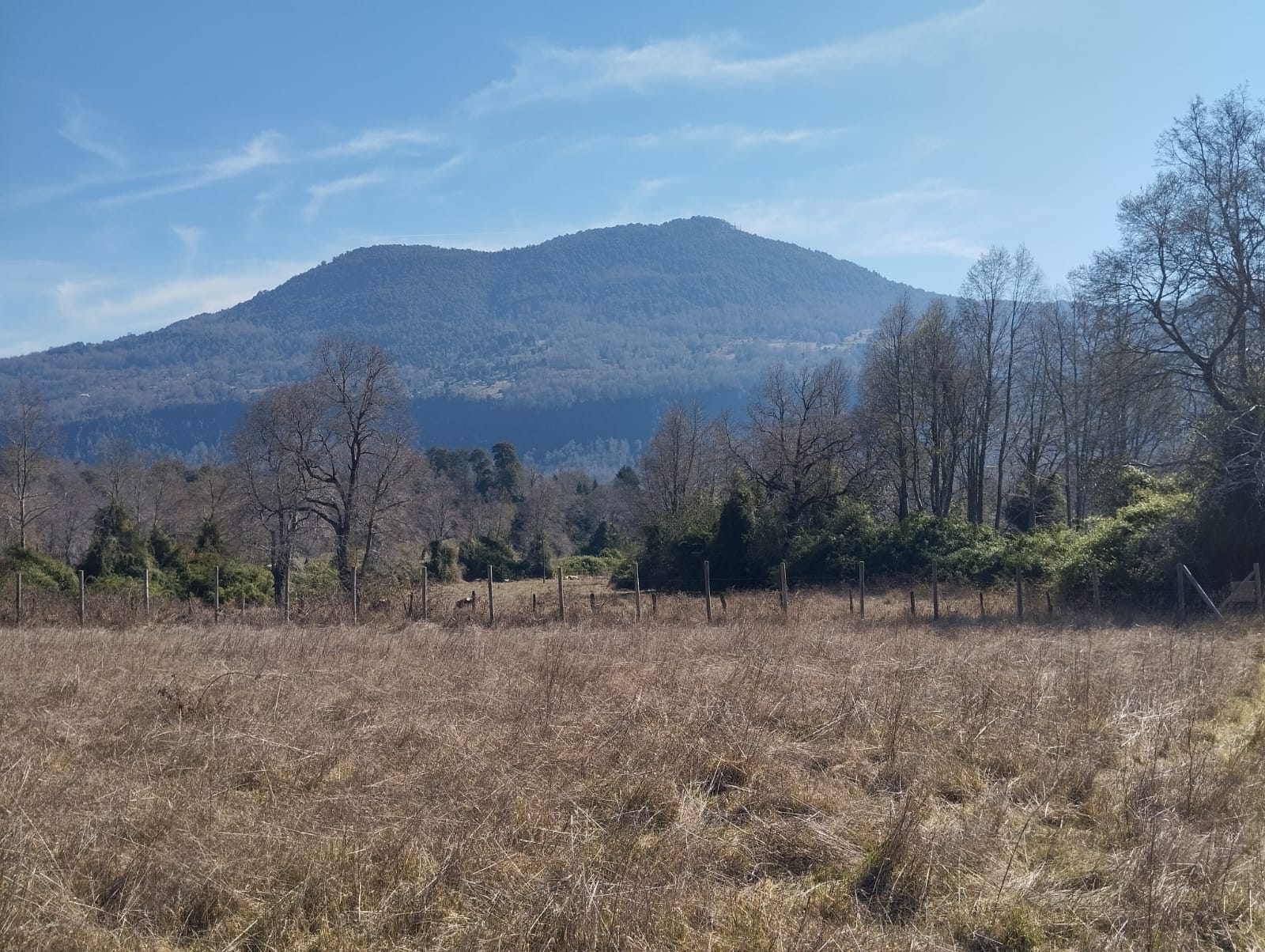 Parcela en venta en Pucón — foto 1