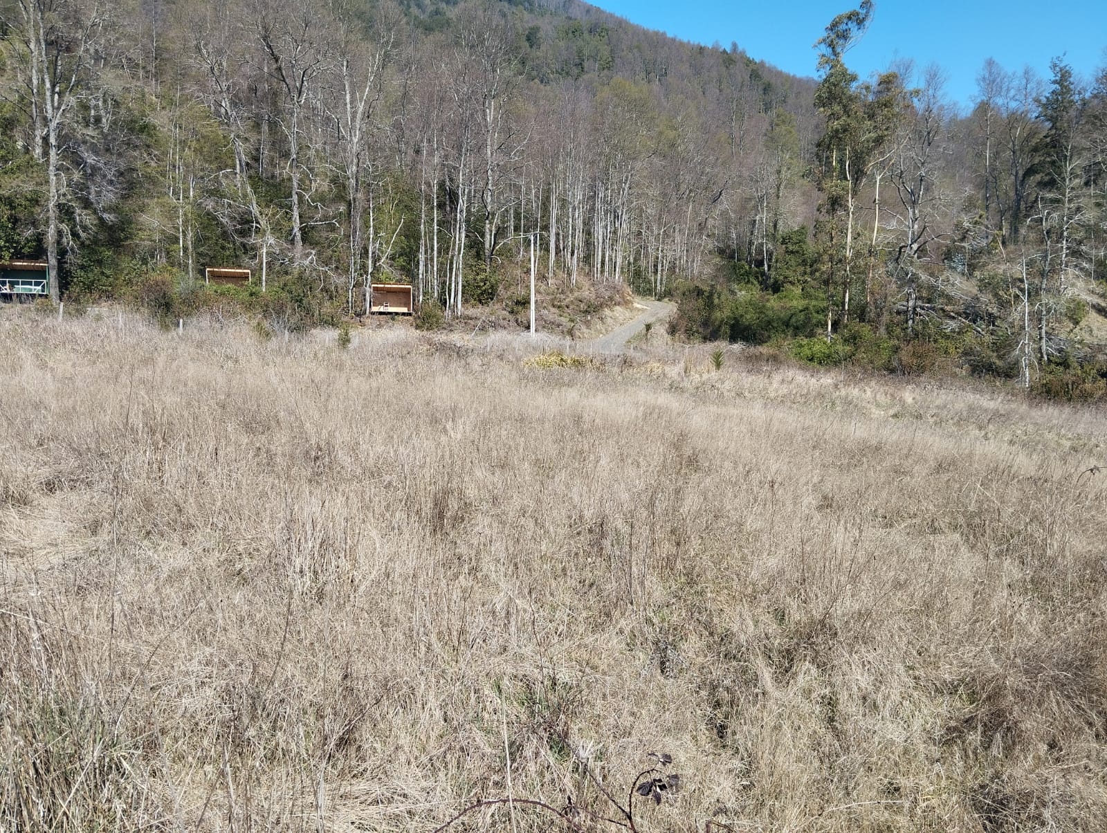 Parcela en venta en Pucón — foto 9