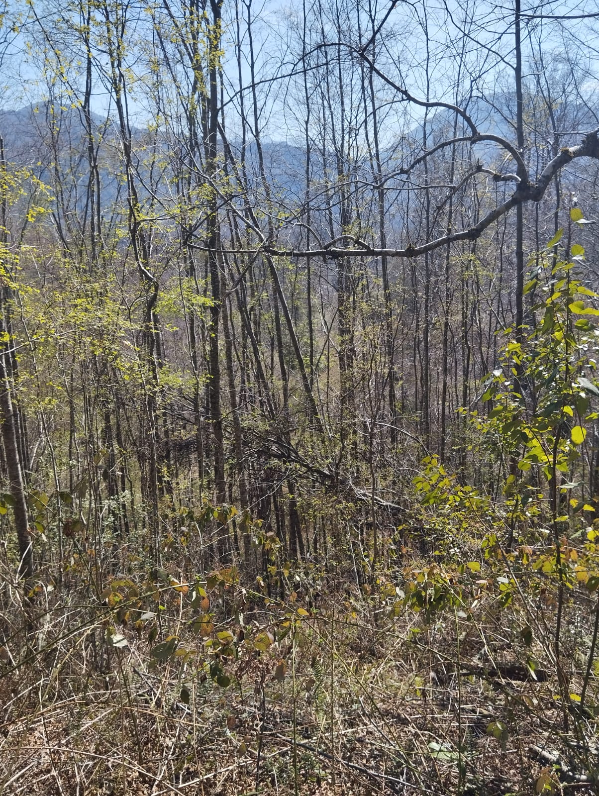 Parcela en venta en Pucón — foto 2