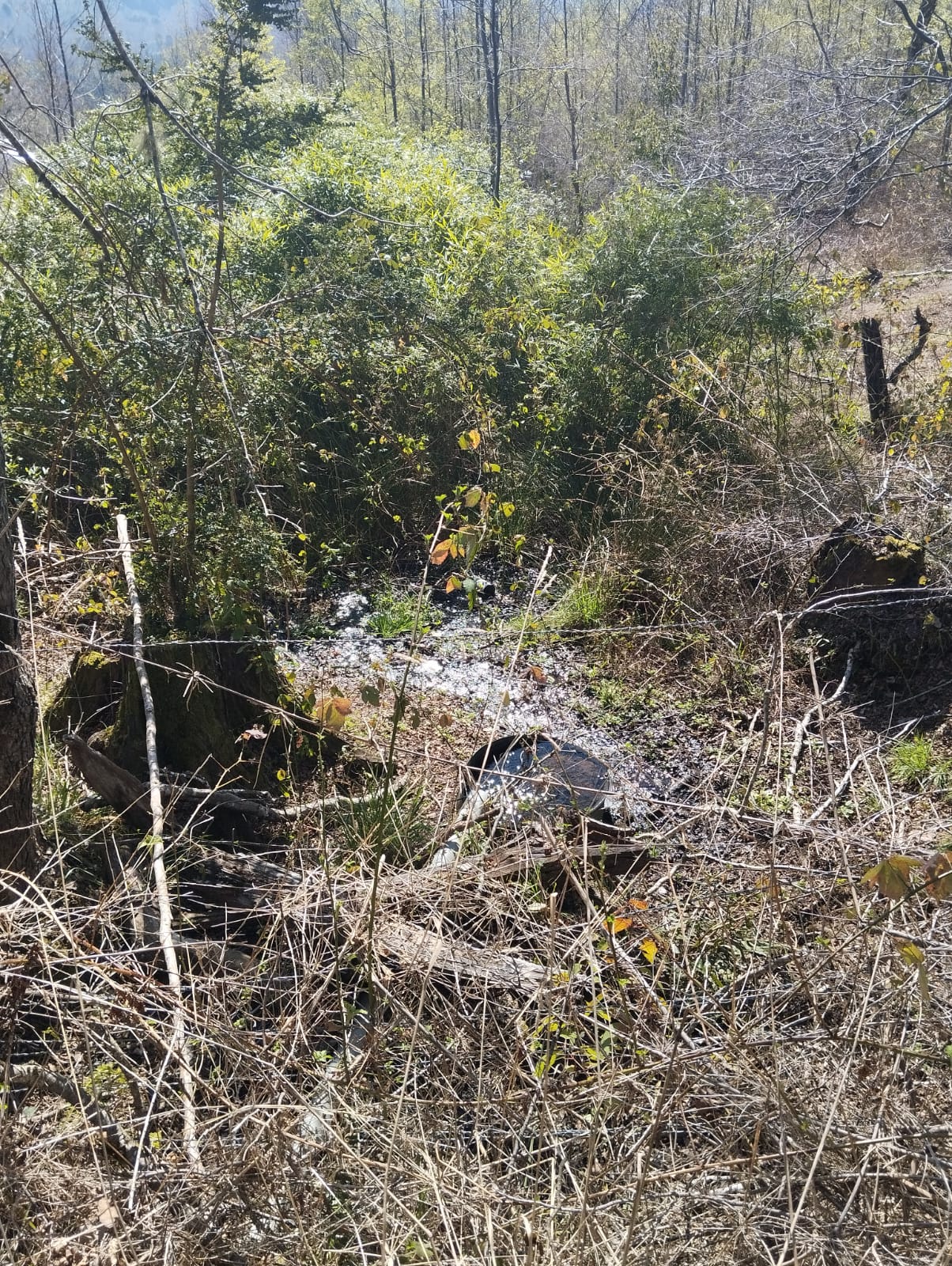 Parcela en venta en Pucón — foto 5