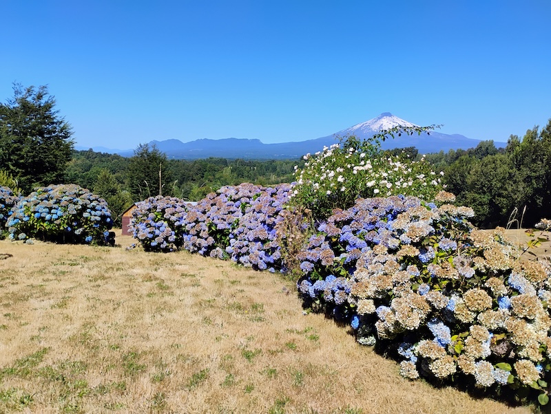 Parcela en venta en Villarrica — foto 7