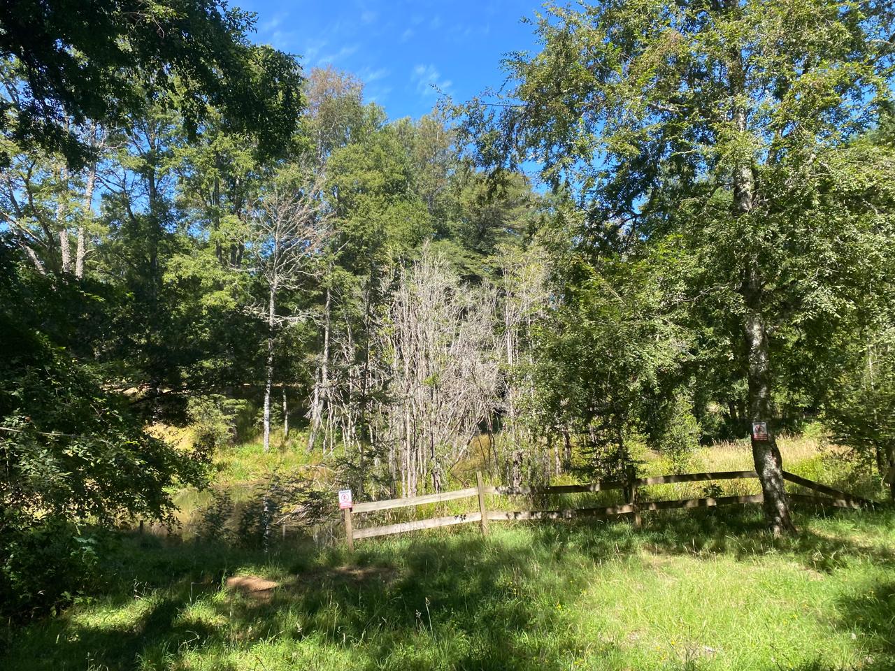 Parcela en venta en Villarrica — foto 3