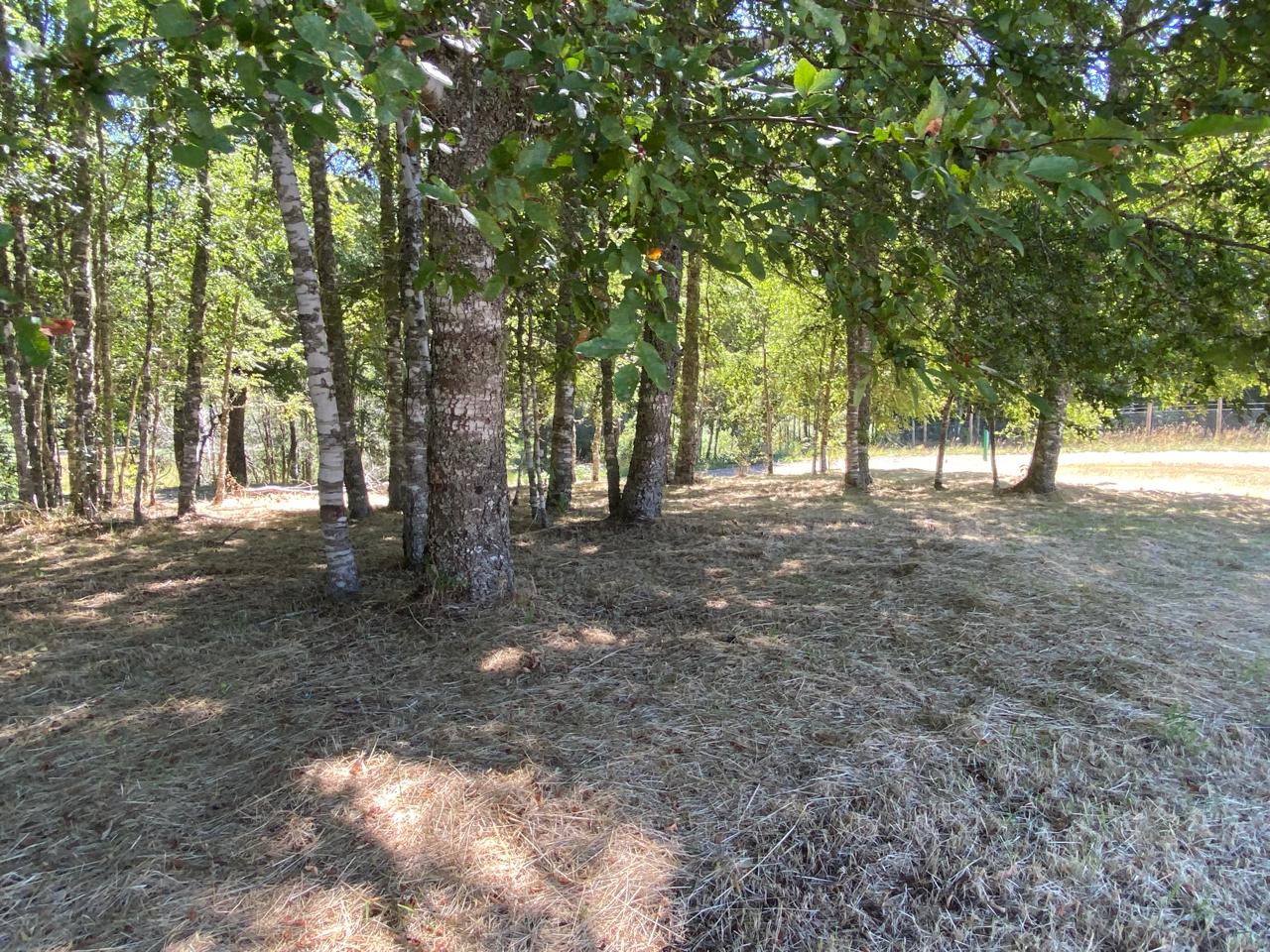 Parcela en venta en Villarrica — foto 7