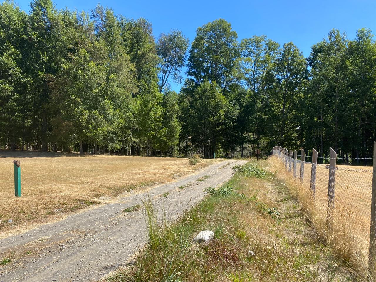 Parcela en venta en Villarrica — foto 9