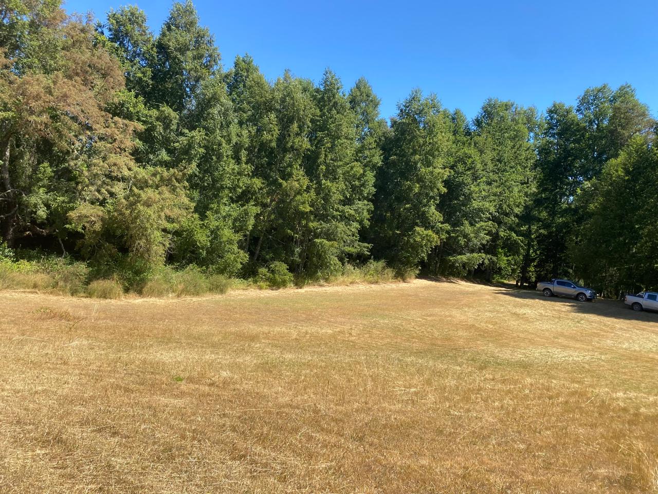 Parcela en venta en Villarrica — foto 10